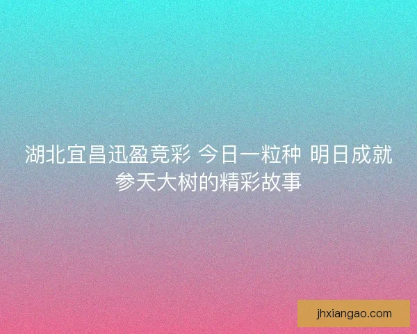 湖北宜昌迅盈竞彩 今日一粒种 明日成就参天大树的精彩故事